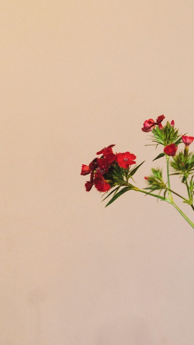 “La tavola è come la musica, cambia continuamente, non è mai la stessa, declinata ogni volta in modo diverso. 

E quante cose ci attraversano il cuore: colori, forme, profili e profumi”

L’arte nella tavola, i prodotti tipici, la cucina tradizionale, un magico portico, i primi raggi di sole estivo e la voglia di condividere momenti semplici ma ricchi di bellezza.

Abbiamo riaperto le porte del nostro ristorante anche all’esterno e ora siamo pronti per accogliervi con calore ed entusiasmo 

❣️ 

#altezzon #altezzonhotel #altezzonristorante #altezzonpadova #magicorner #magicview #secretplace #secretveneto #settable #magictable #magicparty